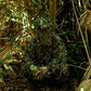 3D Leafy Camo Caps w/Built-in Face Mask (Mossy Oak and 