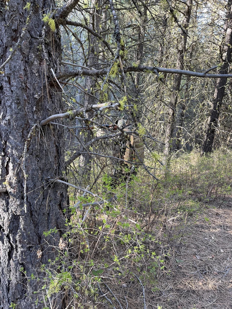 The hunter reveals his position in tree line